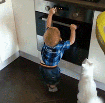 众生皆有爱——震惊人类，羞愧你我【泰国佛牌】