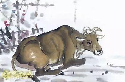 这五大生肖男，出了名的疼老婆！你嫁对了吗？【泰国佛牌】