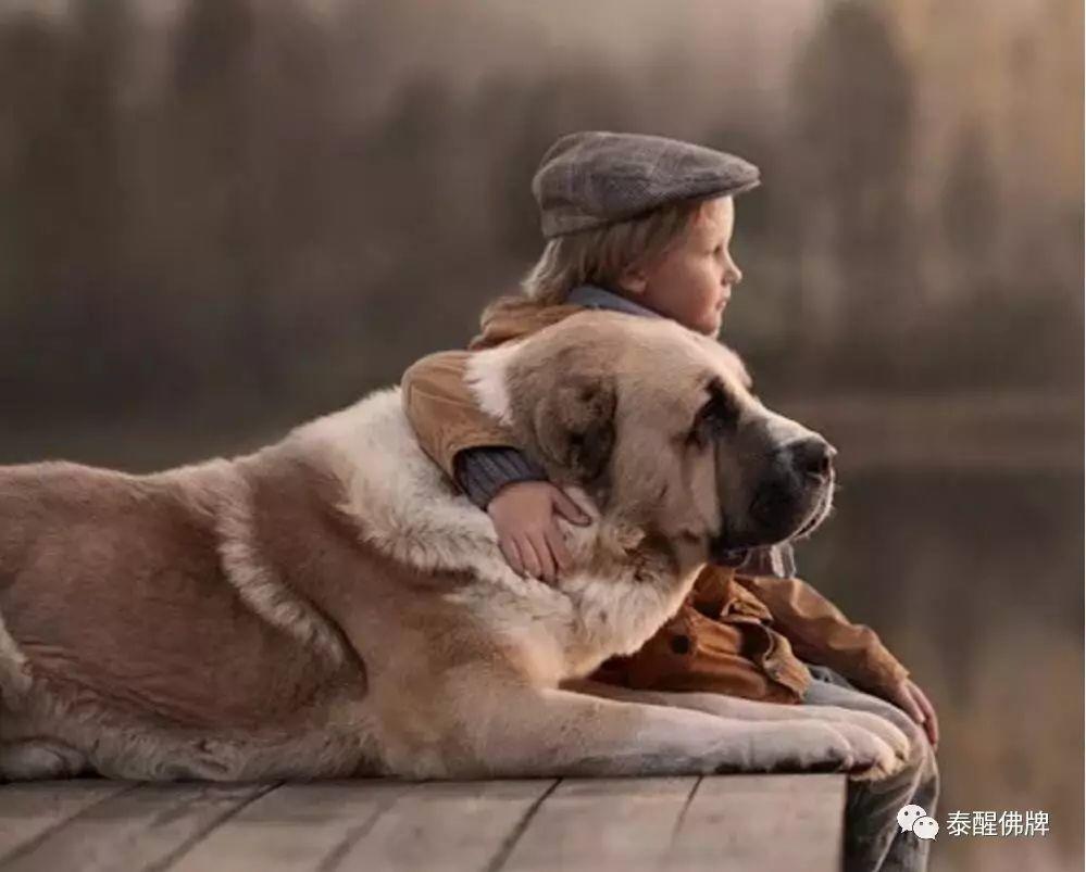 【SORRY我们说好做朋友的】祭●人类最忠诚的朋友【泰国佛牌】 【SORRY我们说好做朋友的】祭●人类最忠诚的朋友-图片5