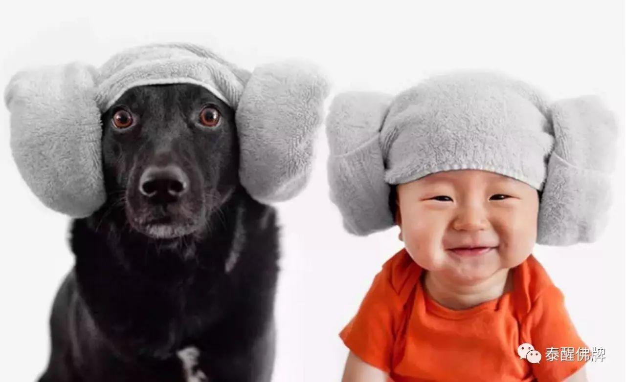 【SORRY我们说好做朋友的】祭●人类最忠诚的朋友【泰国佛牌】 【SORRY我们说好做朋友的】祭●人类最忠诚的朋友-图片4