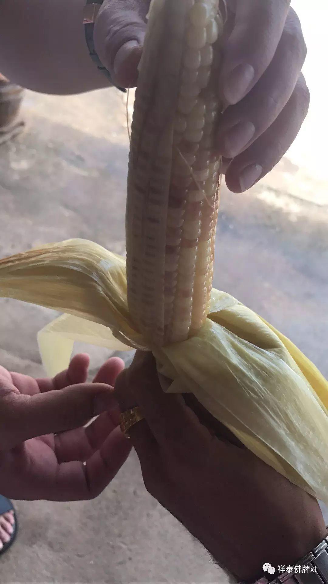 信途（五）-图片6