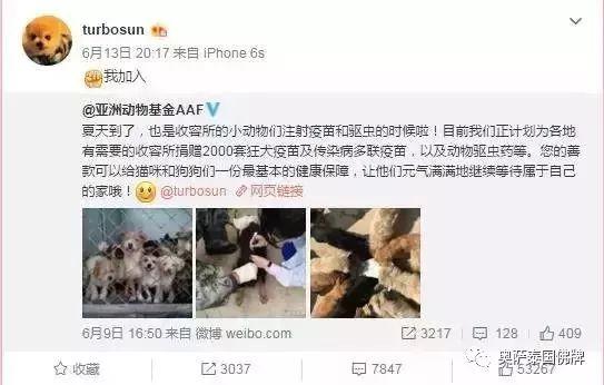 孙俪：信仰是给孩子最好的礼物-图片12