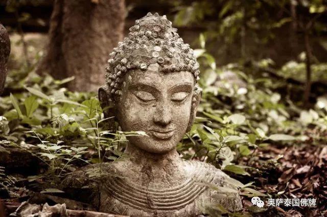 中国的佛教和泰国的佛教有什么区别？-图片5