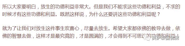 放生就是救自己，救家人，佛弟子要学会智慧地放生！-图片7