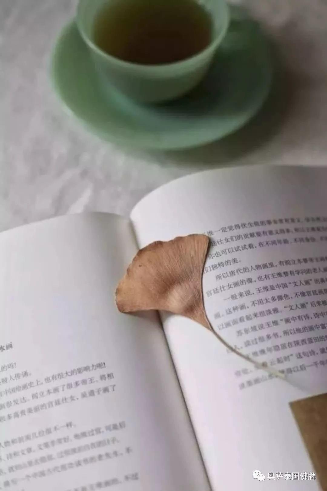 回归一颗无尘的心-图片2