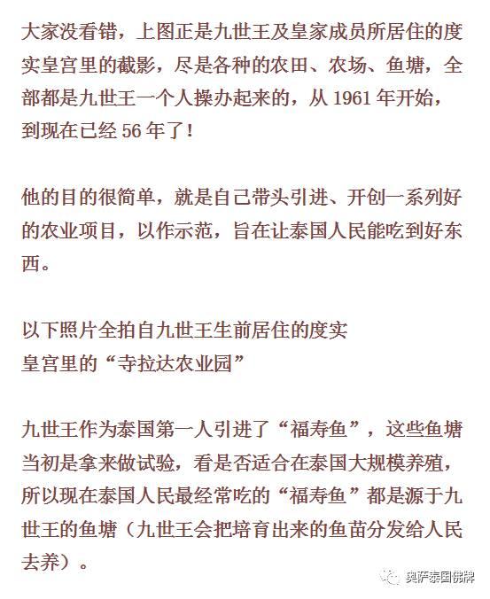 泰国九世王的皇宫世界仅有，竟全长满了“草”-图片13