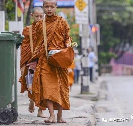 泰国的和尚和中国的和尚有什么区别四：行-图片2
