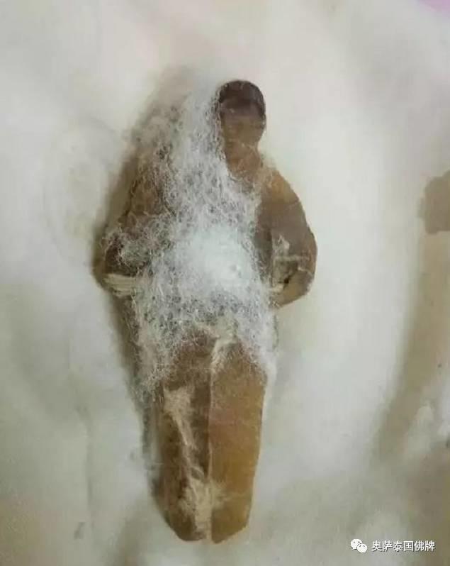 惊悚！泰网友搬进新宿舍竟在枕头中发现降头人偶-图片3