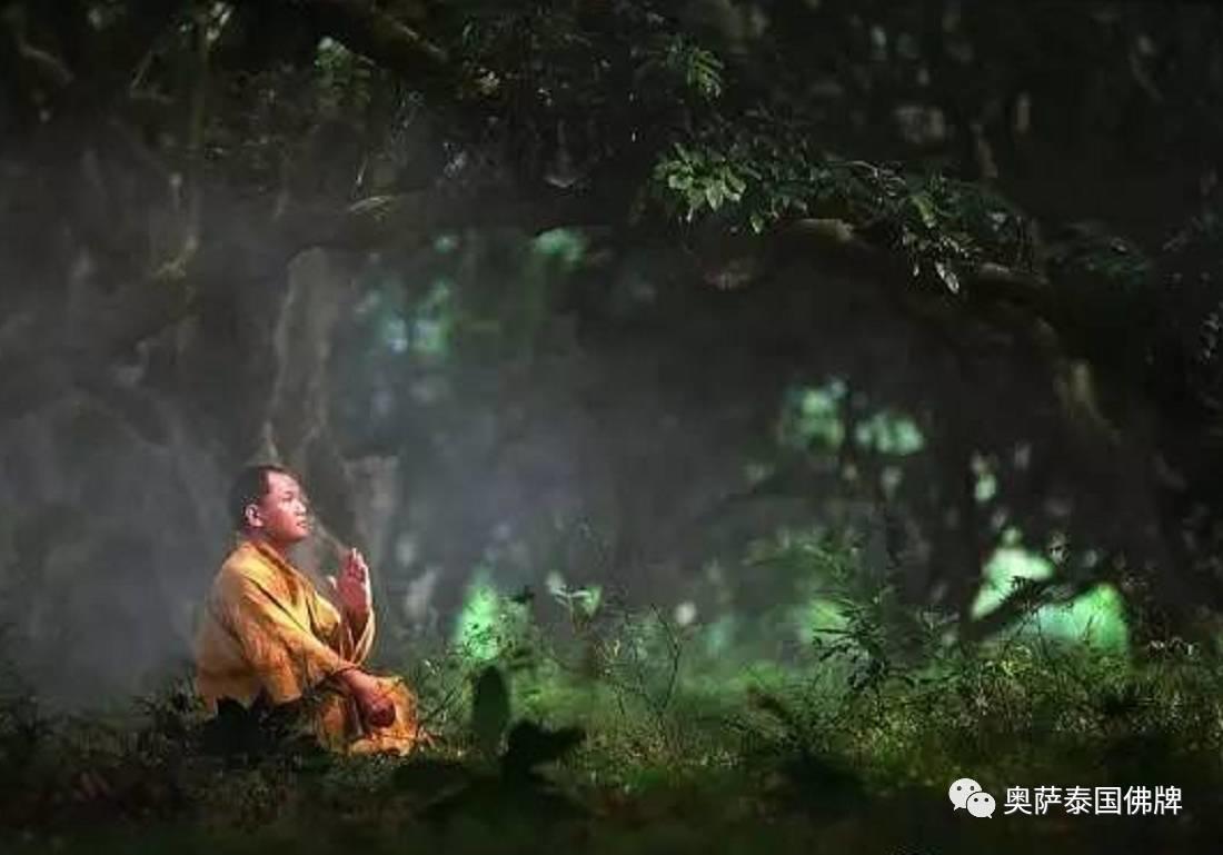 佛教知识:何为佛教是十二因缘?【泰国佛牌】 佛教知识:何为佛教是十二因缘?-图片1