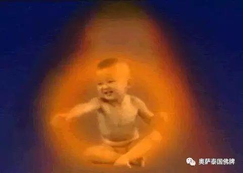 人类最大的愚痴是不信轮回【泰国佛牌】 人类最大的愚痴是不信轮回-图片2