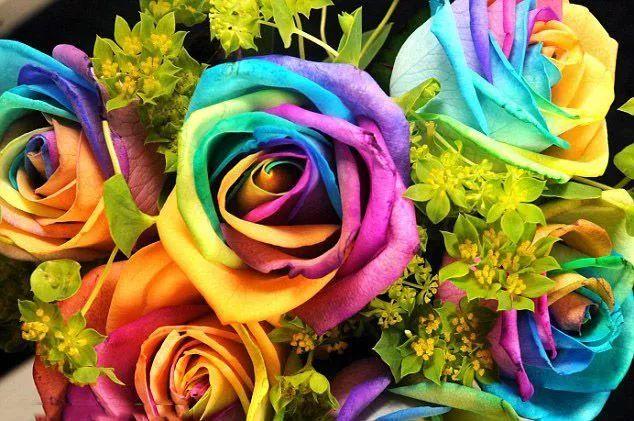 爱上你自己的赤诚，再去爱人-图片4