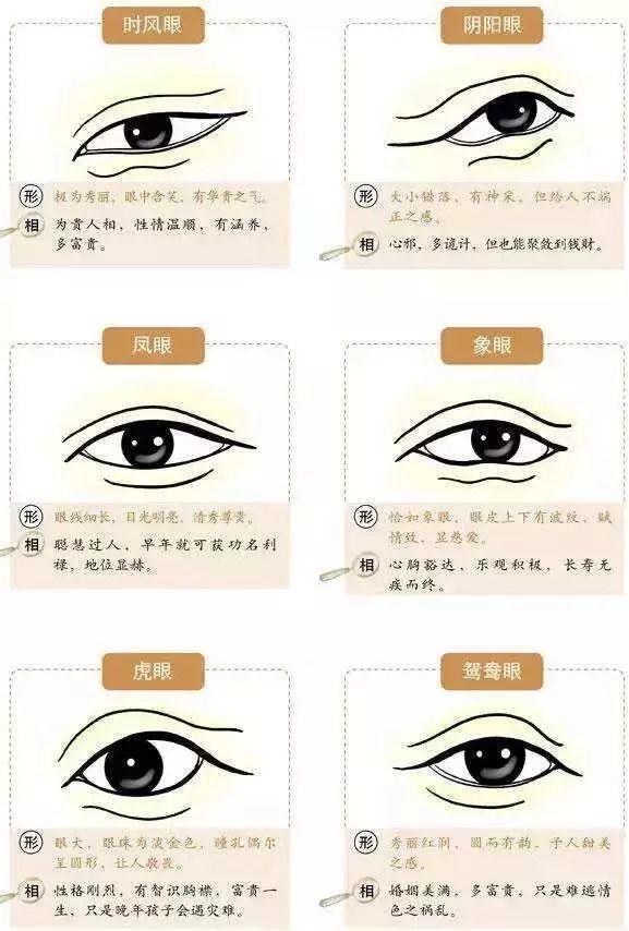 眼睛藏着你一生的命运-图片3