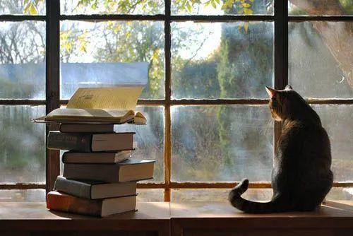 你不将就一切时，生活自然厚爱于你-图片2