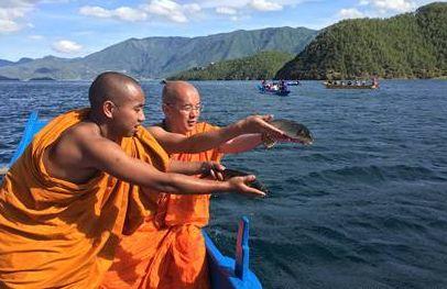 震憾!!放生竟有如此的大功德利益!【泰国佛牌】 震憾!!放生竟有如此的大功德利益!-图片2