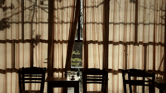 希望所有中国人都能看到这篇文章【泰国佛牌】 希望所有中国人都能看到这篇文章-图片6