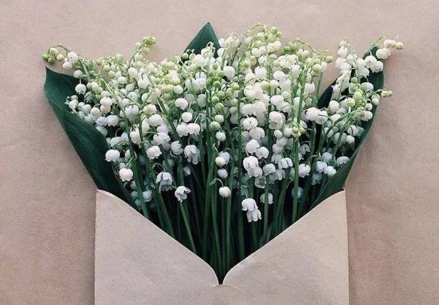 礼佛的意义（内附经典影剧）-图片4