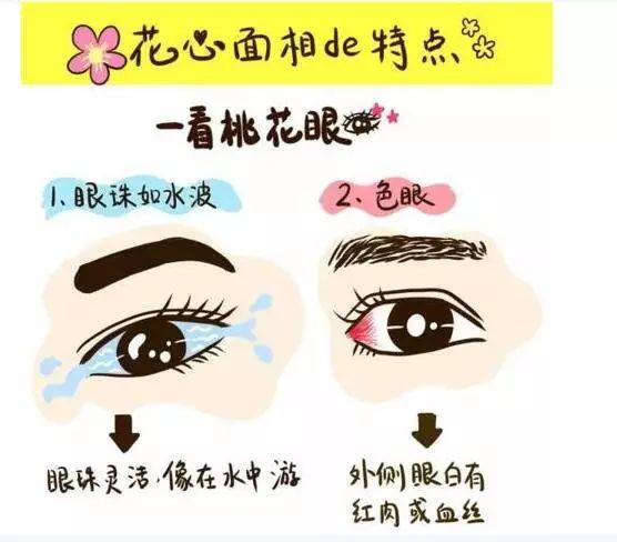 面相教你鉴别渣男渣女【泰国佛牌】