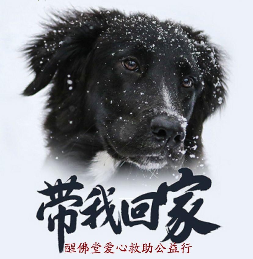 2017暖心画面，2018感恩同行-图片8