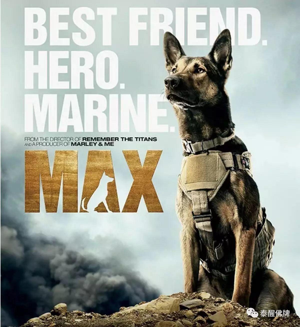 【SORRY我们说好做朋友的】祭●人类最忠诚的朋友【泰国佛牌】 【SORRY我们说好做朋友的】祭●人类最忠诚的朋友-图片11