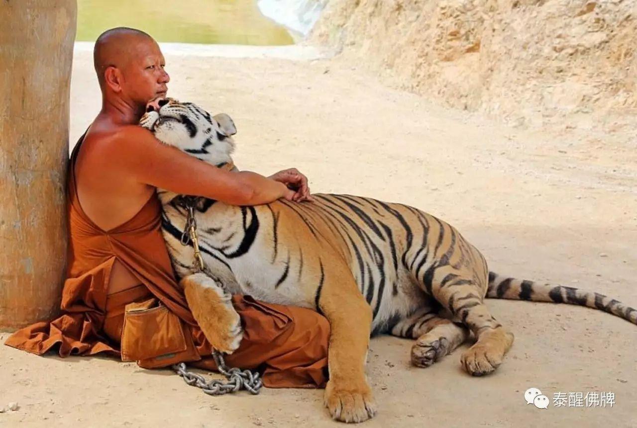 【神秘的鲁士】高深法力的禅定苦修行者-图片3