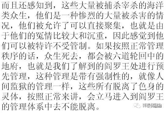 台风近期频繁发生，源于海洋众生的报复！【泰国佛牌】