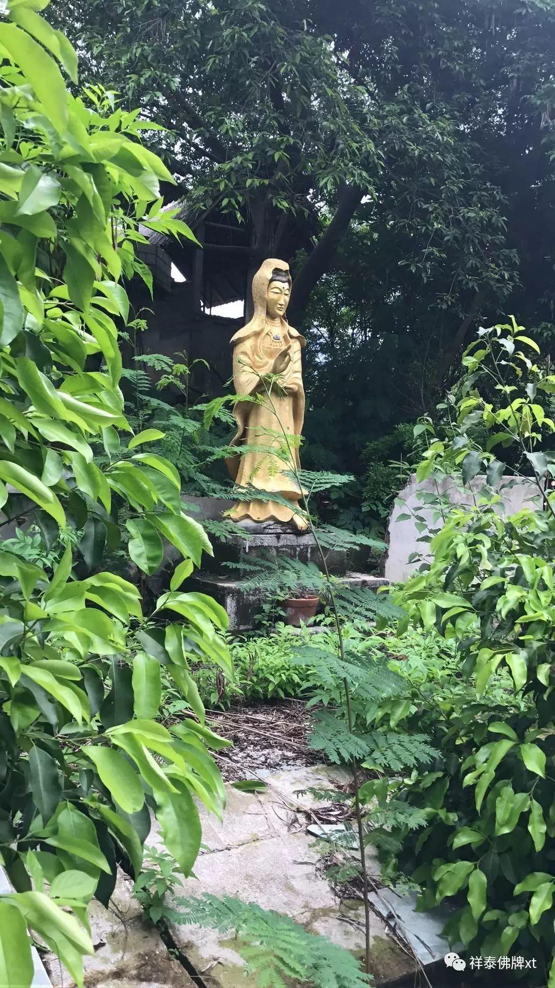 信途（七）-图片7