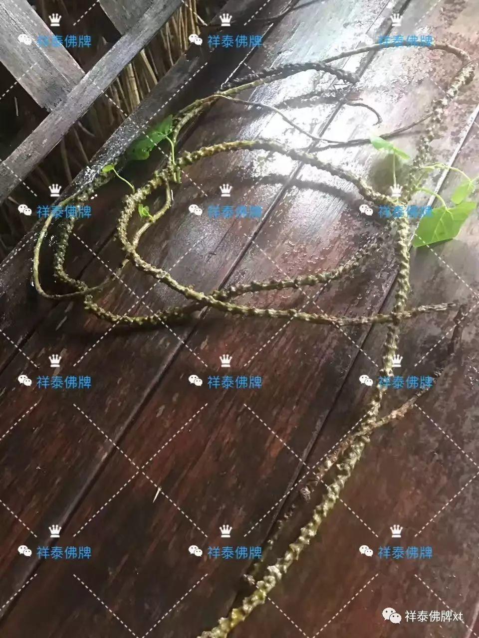 信途(三)【泰国佛牌】 信途(三)-图片7