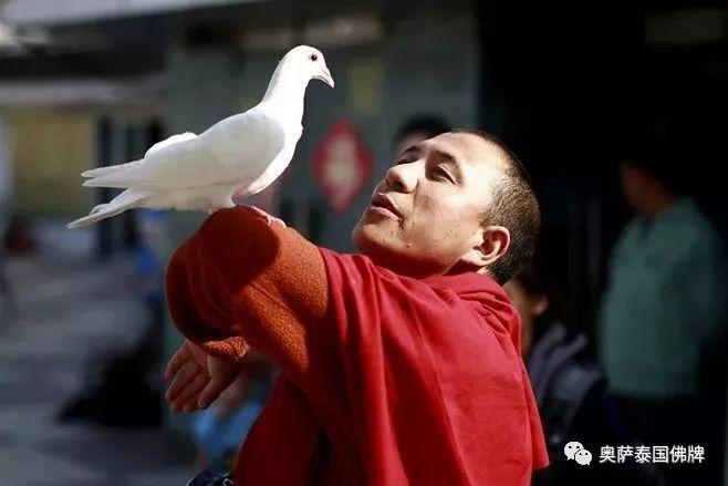 一旦学了佛,这些事都会发生改变,不管你信不信佛,都可以看一看!【泰国佛牌】 一旦学了佛,这些事都会发生改变,不管你信不信佛,都可以看一看!-图片5