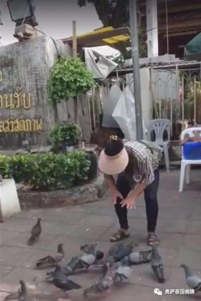 泰国寺庙附近明目张胆的上演“放生”骗局-图片6