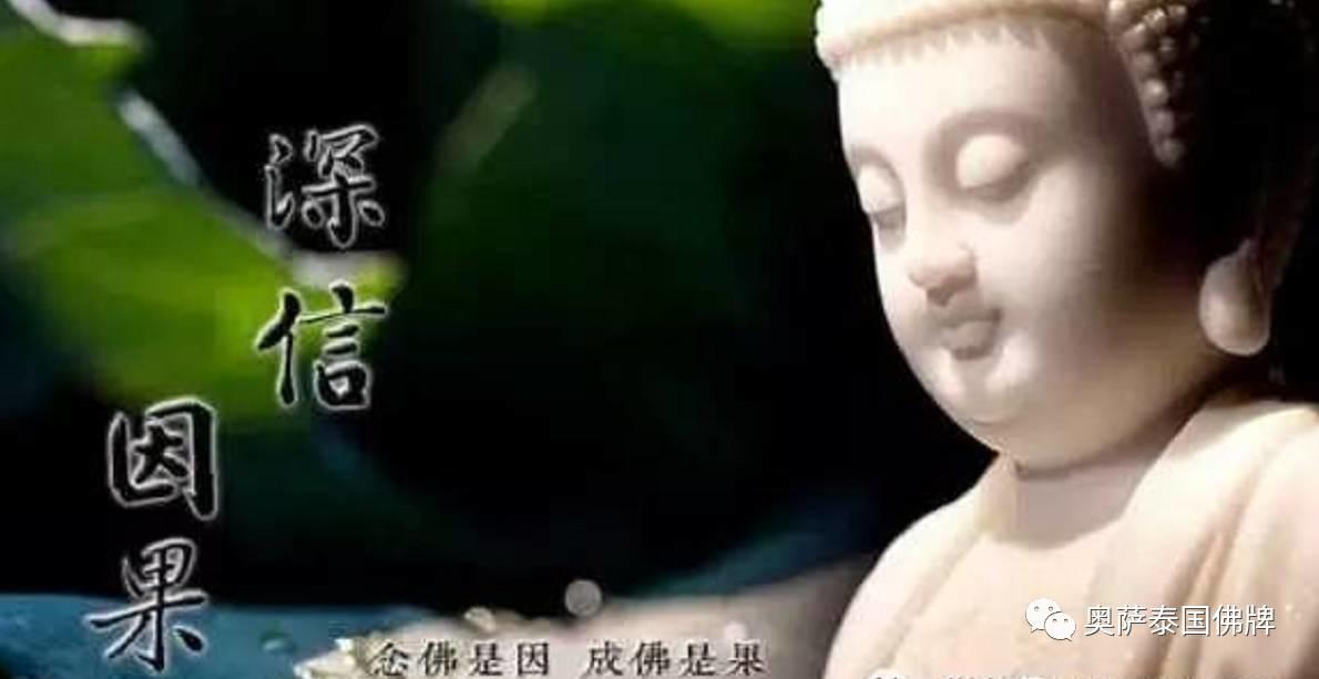 别跟因果争辩,它从来不会误会你【泰国佛牌】 别跟因果争辩,它从来不会误会你-图片1