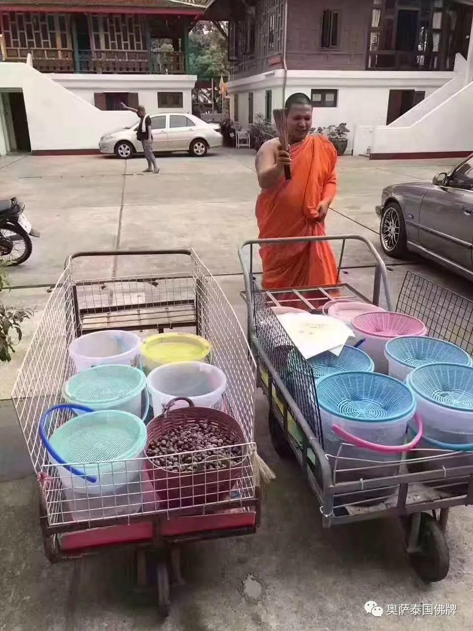 跑庙活动即将开始，抓紧时间预约起来吧！-图片4