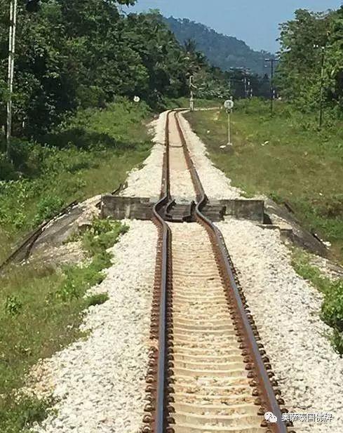 这鬼天气把铁道都热弯了！！-图片2