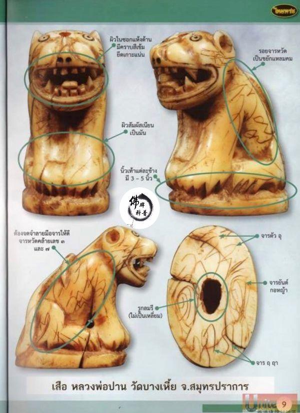 泰国佛牌图文Ⅰ | 龙婆班 老虎细节甄别【泰国佛牌】