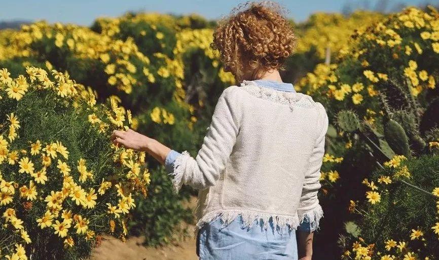 逆境要稳，顺境要定；失意要达，得意要淡【泰国佛牌】