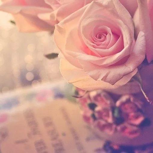 2019愿你温暖纯良-图片3