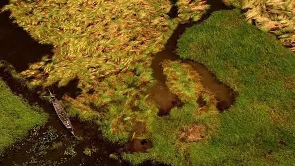 一部绝对震撼心灵的纪录片（强烈建议收藏观看）【泰国佛牌】