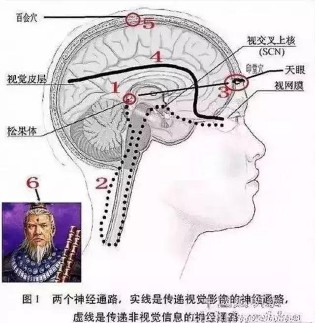 其实人人都有“天眼”【泰国佛牌】 其实人人都有“天眼”-图片5