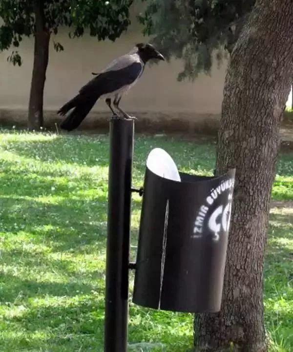 众生皆有爱——震惊人类，羞愧你我【泰国佛牌】