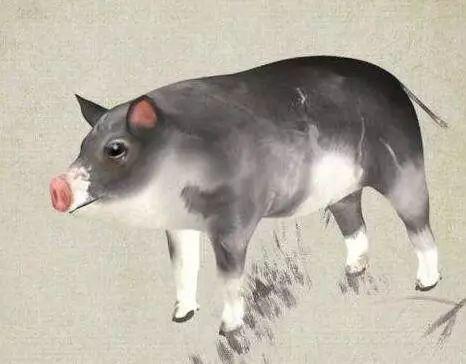 这五大生肖男，出了名的疼老婆！你嫁对了吗？【泰国佛牌】