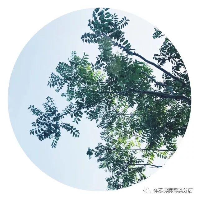 我和祥泰的故事（五）-图片1