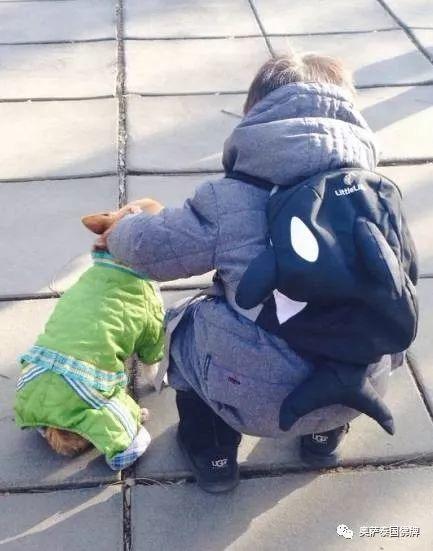 孙俪：信仰是给孩子最好的礼物-图片11