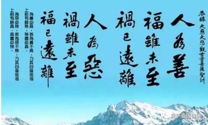 为子孙积阴德，从现在开始！-图片2