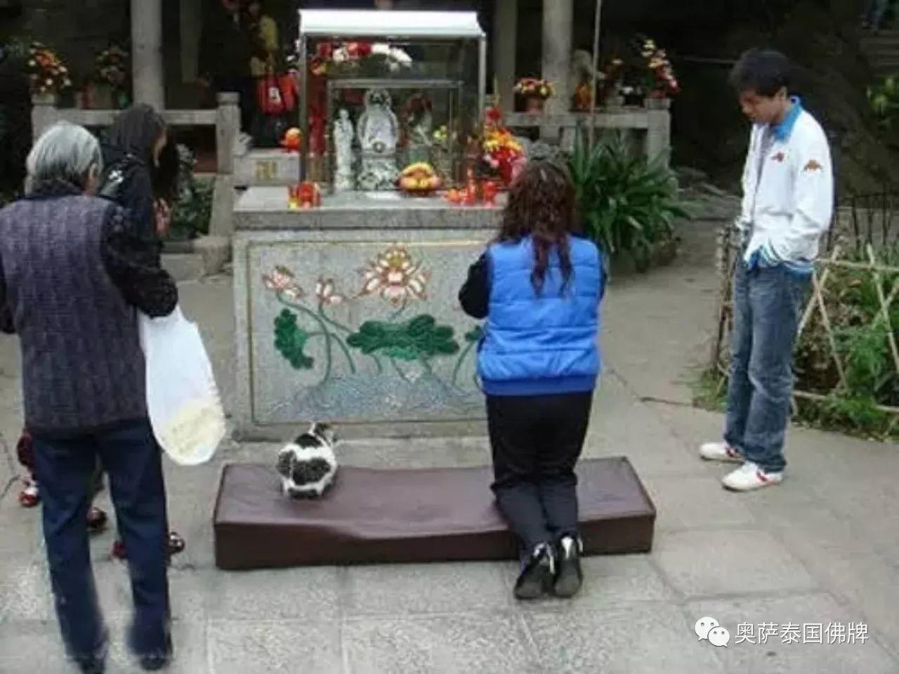 会拜佛的动物太有爱了!当你生气的时候不妨看看【泰国佛牌】 会拜佛的动物太有爱了!当你生气的时候不妨看看-图片7