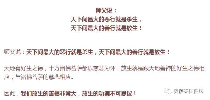 放生就是救自己，救家人，佛弟子要学会智慧地放生！-图片1