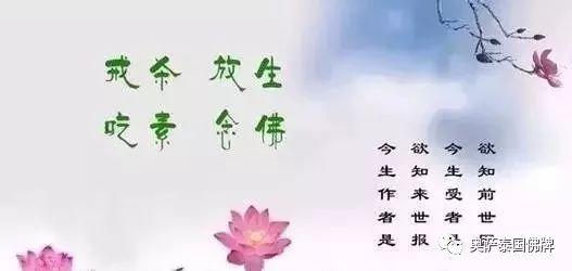 放生就是救自己，救家人，佛弟子要学会智慧地放生！-图片6