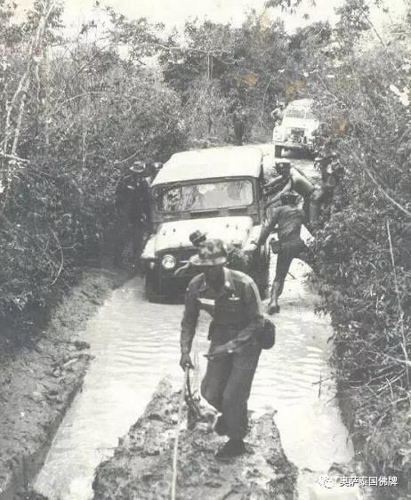 泰国九世王不为人知的那些事-图片86