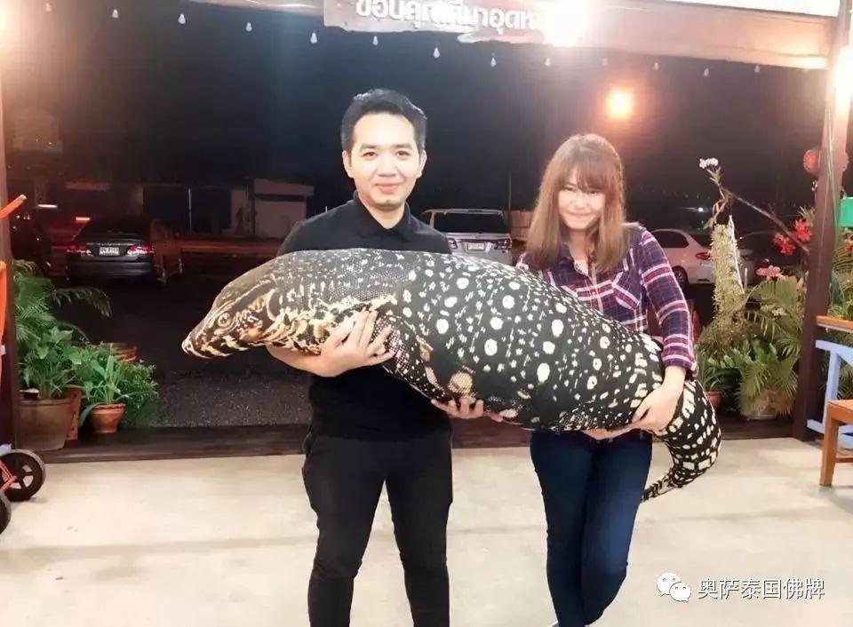 胆小真的要慎入啊!泰国年轻人抱着“尸体”睡觉!“飞头降”“裹尸布”?【泰国佛牌】 胆小真的要慎入啊!泰国年轻人抱着“尸体”睡觉!“飞头降”“裹尸布”?-图片1