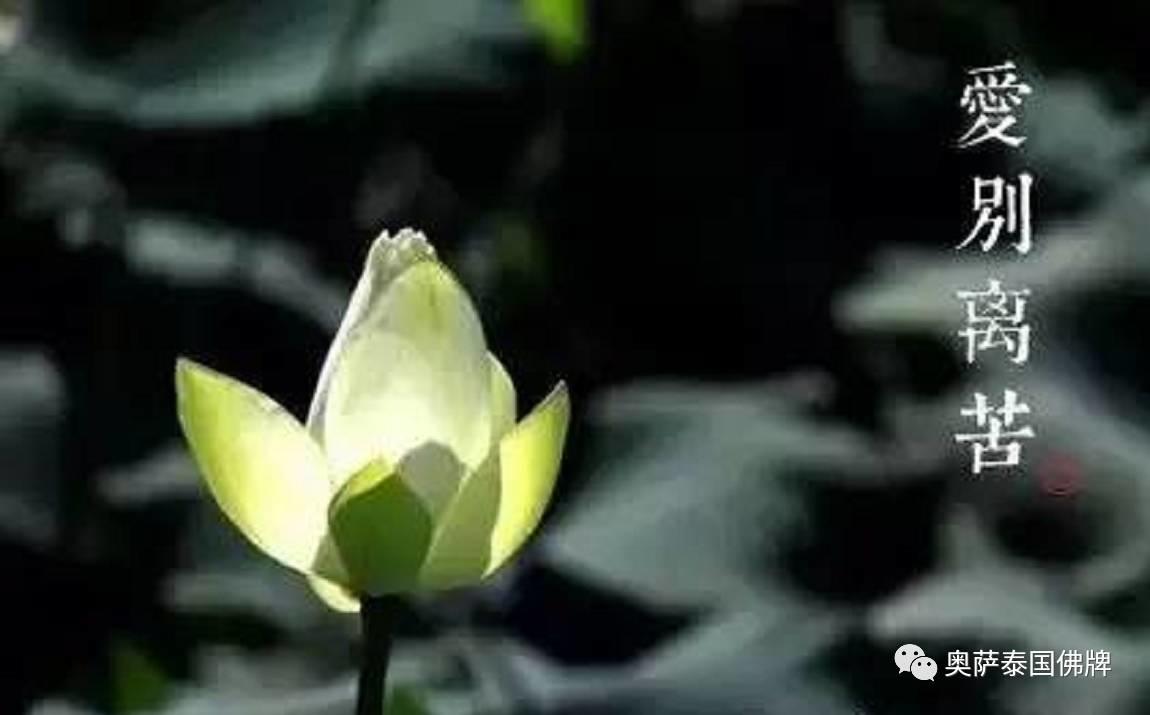 佛教因果观并非宿命论 贫富贵贱源于己行-图片1