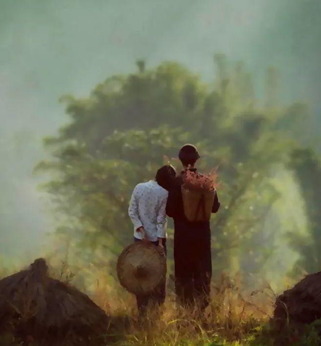 因为懂得，所以慈悲-图片1