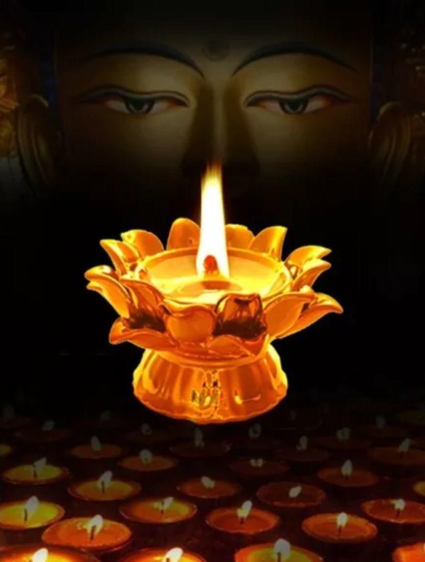 事实证明人的命运是可以改变的-图片4